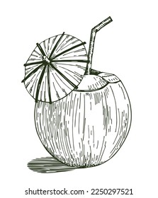 Cocktail of coconut sketch. Illustration of a coconut with a cocktail inside with straws and an umbrella. Pina colada cocktail in coconut with umbrella. Doodle Vector style