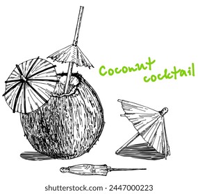 Cóctel de boceto de coco. Ilustración de un coco con un cóctel en el interior con pajitas y un paraguas. Cóctel de piña colada en coco con paraguas. Estilo de Vector Doodle