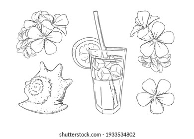 Cocktail, Blumen und Muschelset. Seebad-Konzept mit Cocktail. Set einzeln auf weißem Hintergrund. Umfassende Vektorgrafik