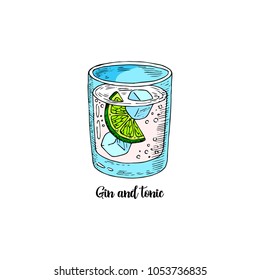 Cocktail Gin And Tonic In Sketch Style For Menu, Cards. Contemporary Classic Cocktail. Highball Cocktail