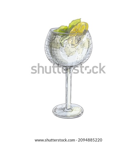 Cocktail gin tonic with slice lemon or lime and mint leaves. Vintage hatching vector color illustration. Isolated on white background
