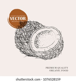 Cocnut hand drawn illustration. Botanical vector design