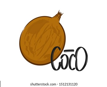 Coco hand drawn modern brush lettering text with coconut. Vector illustration of business logo for webpage, print and advertising