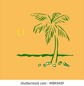 a coco palm on the beach with coconuts on the ground
