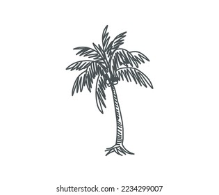 Coco palm, retro hand drawn vector illustration svg