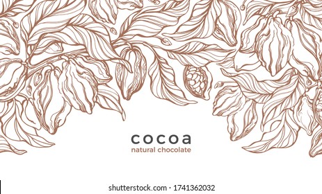 Cocoa background. Natural chocolate, aroma drink. Vector nature plant. Hand drawn sketch, engraving illustration, botanical pattern, organic design. Vintage template, art card. Wild harvest
