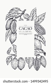 Cocoa banner template. Chocolate cocoa beans background. Vector hand drawn illustration. Vintage style illustration.