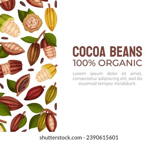 Cocoa Bean Banner Design with Brown Pod and Green Leaf Vector Template