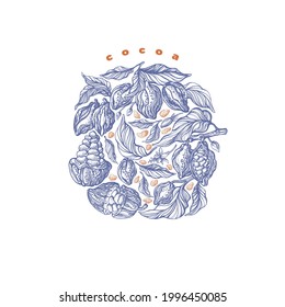 Cocoa bean, branch. Vector round artwork sticker. Vintage hand drawn packaging. Organic natural superfood, aroma chocolate. Isolated illustration with text