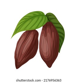 vector de dibujos animados de frijol de cacao. árbol de plantas, postre dulce, caramelos orgánicos, frijol de cacao de semilla de fruta. ilustración de color aislado