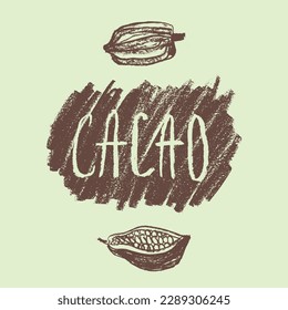 Cocoa bean emblem. Hand drawn sketch vector Cacao beans icon. Cocoa beans isolated. Symbol Bean to Bar cacao. Organic product doodle. Label chocolate, cocoa butter badge. Plant part for logo design.