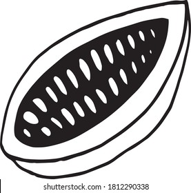 cocoa bean half hand drawn vector doodle. single element for design icon, label, menu, sticker. food, plant