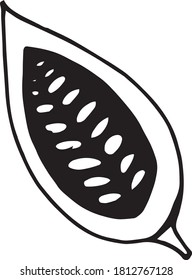 cocoa bean half hand drawn vector doodle. single element for design icon, label, menu, sticker. food, plant