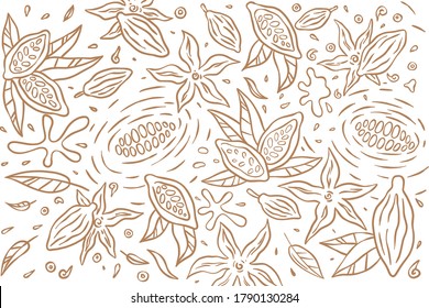 Cocoa bean hand draw set illustration - Out line