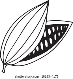 cocoa bean hand drawn vector doodle. single element for design icon, label, menu, sticker. food, plant