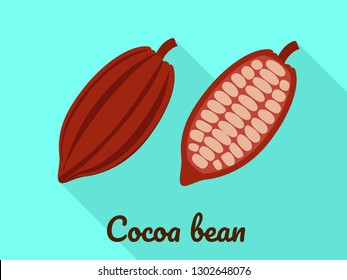 Cocoa bean icon. Flat illustration of cocoa bean vector icon for web design