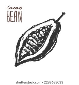 Cocoa bean icon. Hand drawn sketch vector Cacao beans. Leaves of  Cocoa bean isolated. Sign of Bean to bar cacao. Organic product doodle for cafe, shop, menu. Plant part for label, logo, sign, symbol.