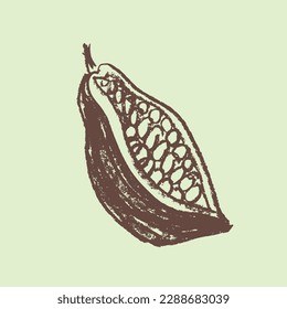 Icono de frijol de cacao. Esbozo dibujado a mano vectorial frijol Cacao. Hojas de frijol de cacao aisladas. Señal de Bean para prohibir el cacao. Doodle de producto orgánico para café, tienda, menú. Parte de planta para etiqueta, logotipo, signo, símbolo.