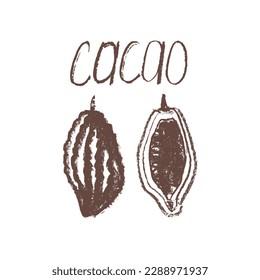 Icono de frijol de cacao. Esbozo dibujado a mano vectorial frijol Cacao. Granos de cacao aislados. Símbolo cacao de Bean a Bar. Doodle de producto orgánico para café, chocolate de etiqueta, insignia de manteca de cacao. Parte de planta para el diseño del logotipo.