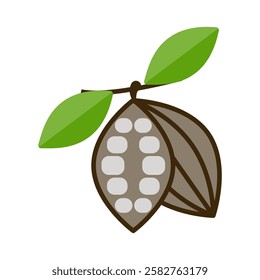 cocoa bean icon vector design templates