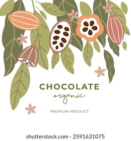 Cocoa bean illustration. Vintage style design template. chocolate cocoa beans. Vector illustration