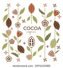 Cocoa bean illustration. Vintage style design template. chocolate cocoa beans. Vector illustration