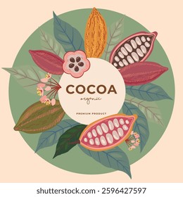 Cocoa bean illustration. Vintage style design template. chocolate cocoa beans. Vector illustration