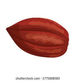 Cocoa bean isolated cartoon illustration icon. Vector illustration chocolate fruit on white background. Vector cartoon icon cocoa bean.