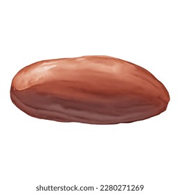 Ilustración De Pintura De Cocoa Bean Aislado A Mano