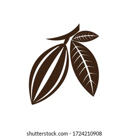 cocoa, cocoa bean, leaf illustration logo vector