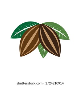 cocoa, cocoa bean, leaf illustration logo vector
