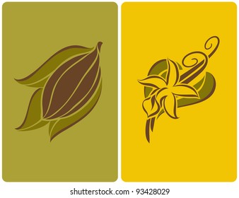 Cocoa Bean With Leaves And Vanilla Flower With Pods. Vector Illustration.