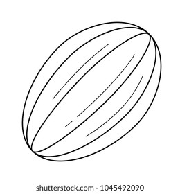 Cocoa bean line icon isolated on white background. Vector line icon of cocoa bean for infographic, website or app.