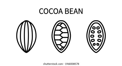 Cocoa Bean Line Icon Is In Simple Style. Healthy Food. Natural Product. A set of vector icons in a simple style, isolated on a white background