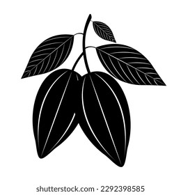 Cocoa bean Logo. Cocoa Icon. Chocolate Cocoa Symbol. Vector Illustration Isolated on White Background.