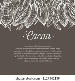 Cocoa bean tree banner template. Chocolate cocoa beans background. Vector hand drawn illustration. Retro style illustration.