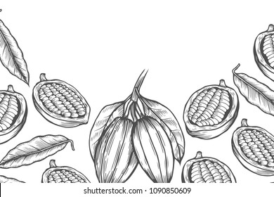 Cocoa bean tree design template. Engraved style illustration. Chocolate cocoa beans. Vector illustration