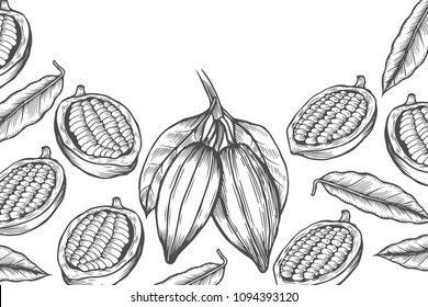 Cocoa bean tree design template. Engraved style illustration. Chocolate cocoa beans. Vector illustration