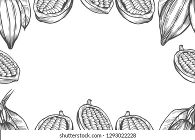 Cocoa bean tree design template. Engraved style illustration. Chocolate cocoa beans. Vector illustration