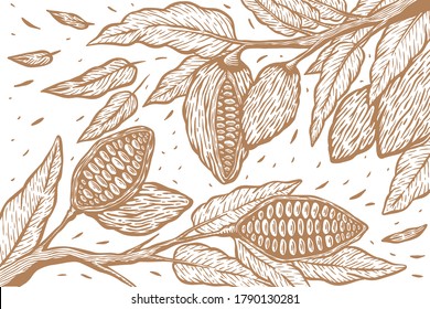 Cocoa bean tree hand draw set illustration - Out line