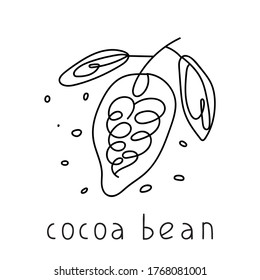 Grano de cacao. Ilustración de contorno dibujada a mano del vector.