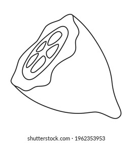 Cocoa bean vector outline icon. Vector illustration cacao on white background. Isolated outline illustration icon of cocoa bean .