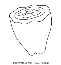 Cocoa bean vector outline icon. Vector illustration cacao on white background. Isolated outline illustration icon of cocoa bean .