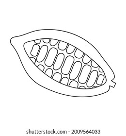 Cocoa bean vector outline icon. Vector illustration cacao on white background. Isolated outline illustration icon of cocoa bean .
