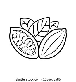 Cocoa beans, badge, logo, banner, for brochure, book. A contour drawing.