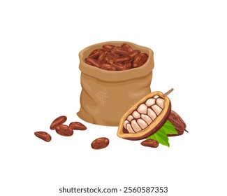 Cocoa beans in bag and fresh pods isolated on white background. Vector cartoon flat illustration.