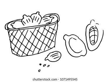 cocoa beans in a basket vector