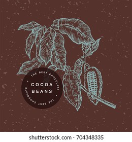 Cocoa beans branch colorful illustration. Engraved style illustration. Chocolate cocoa beans. Vector illustration