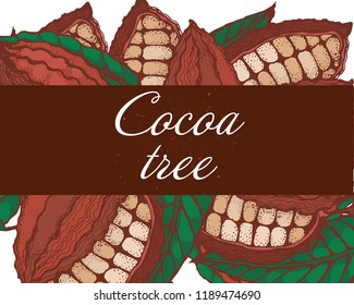 cocoa beans, branch with fruit and leaves, engraving style, banner color, vector