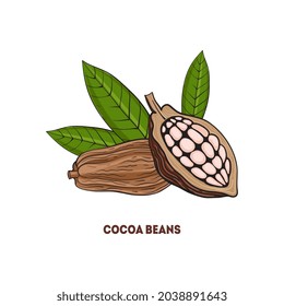 Granos de cacao con trozos de chocolate. Ilustración del vector